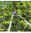 AIRAJ Ébrancheur à enclume et Bypass avec action composite hache les branches épaisses avec facilité coupe-branches robuste avec capacité de coupe nette de 5,1 cm