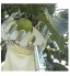 Apricot blossom Sélecteur de Fruits en métal Verre Jardinage Pomme Pêche High Tree Tree Picking Outils Fruit Catcher Collecteur Jardinage Outils de Jardinage Color : 16x25cm