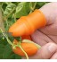 N+A Couteau à pouce en silicone pour le jardin Couteau séparateur Cadeau de jardinage Protection des ongles Coupe-doigt pour couper les plantes et légumes