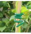 MagiDeal Attache de Fil Flexible de Jardin Attaches pour Plantes à Torsion Douce 20 m vignes tiges et tiges de Plantes Vertes