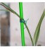 Ruluti Jardin des Plantes en Plastique Souple Ties Cordon De Plantes Grimpantes Ficelle Jardin Cravate pour Le Jardinage Maison Bureau Vert