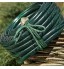 Windhager Corde tressée pour Le Jardin Corde de Fixation Corde Universelle 20 m x 4 mm 06102 Vert