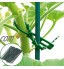 YAOQI Bobine de fil de fer pour plantes de jardin | 100 m attaches pour plantes de jardin ficelles torsadées avec cutter pour jardinage maison bureau