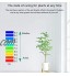 4-in-1 Testeur Humidité Plante Meter Surveille LumièRe Et Testeur Ph Acidité Testeur Ph Sol Jardin Capteur Humidité pour Fleurs Herbe Plante Jardin Ferme Pelouse