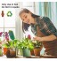 Bearbro Soil Moisture Tester Sensor Kit，Testeur de Sol 3 en 1 PH Solide Lumière et Testeur de pH Acidité，pour Fleurs Herbe Plante Jardin Ferme pelouse Pas Besoin de Batterie