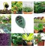 EasyULT Soil Tester Testeur d'Humidité du Sol d'Ensoleillement et d'Acidité pour Sol Végétal Idéal pour Fleurs Herbe Plante Jardin Ferme pelousePas Besoin de Batterie-Vert