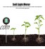 Testeur de sol mètre de lumière du sol Analyseur de sol Thermomètre de sol pour la plantation de jardins balcons légumes serres