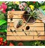 Ulikey Testeur de sol appareil de mesure du sol avec 10 outils pour bonsaï 3 en 1 avec sécateur de jardin ciseaux à plis mini râteau coupe-bordure pour jardin croissance des plantes argenté
