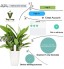 VegTrug Soil Tester Intelligent 4-in-1 Bluetooth Plant Monitor Soil Meter Surveille Automatiquement Les Niveaux D'humidité Lumière Fertilité Température pour iOS et Android