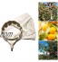 Wuhanyimang Tête de ramassage de fruits PP + tissu Outil de récolte de fruits de jardin pour pommes agrumes poire pêche avec sac de collecte amovible 12 cm sans perche