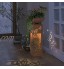 Hoberg Jardinière LED Design Papillon 3D en Optique Rouille | Jardinière Amovible Ø 34cm Adaptée à l'intérieur et à l'extérieur | avec éclairage minuterie 6h sans Fil [19 x 19 x 72 cm]