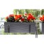 Jardinière de balcon en plastique Support en métal noir Burin 56 x 19 x 19 cm Bac à fleurs Réservoir d'eau Support flexible en métal