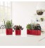 Lechuza – Pot de Fleurs d'Interieur – Cube Glossy Triple – Réserve d'Eau Intégrée – Coloris Blanc – 40 × 14 × 14 cm