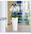 Lechuza – Pot de Fleurs d'Interieur – Premium Delta – Réserve d'Eau Intégrée – Coloris Blanc – 30 x 30 x 56 cm