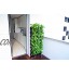 Minigarden Vertical Kitchen Garden pour 24 Plantes Comprend Le kit d’arrosage Goutte-à-Goutte Autoportant ou Fixé au Mur Vert