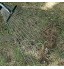Griffe de Jardin ramasse Feuilles rateau Feuille Râteau de Jardin pour Feuilles Râteau à Feuilles de pelouse pour Un Nettoyage Rapide de la pelouse de la Cour du Jardin Outil de Jardinage profes