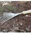 Râteau à gazon manuel en acier inoxydable avec poignée en bois outils de jardinage robustes pour le jardin