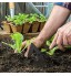 Binette de jardin – Houe creuse entièrement en acier trempé pour désherber à long manche outils de désherbage de jardin désherbage et desserrage facile du sol outil de jardinage durable et efficace