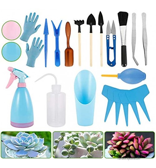 ATopoler Lot de 21 mini outils pour plantes succulentes pour plantes graisse outils de jardin outil pour le transport de plantes en pot bleu