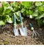 Basics Ensemble de 3 outils de jardinage avec une truelle un transplantoir manuel et un plantoir manuel