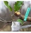 BIGKASI 4 Greffage Ruban avec 30 Étiquettes de Piquet Bande Adhésif Étirable Greffage Ruban Pepiniere Film Transparent Contre l'Humidité pour Plante Arbre Jardinage Réparation 100M*2CM