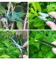 Hydrogarden Kit de Test de Sol avec 11 Outils pour bonsaïs Comprenant 3 en 1 d'humidité de Sol Ensemble d'outils de Transplantation étiquettes de Plantes en Bois et Clips de Support