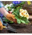 Mengxin 5 Pièces Kit Outils Jardinage Set Outils de Jardin en Aluminium avec Fourche Sarcloir Griffe Transplantoir Pelle à Terreau pour Jardinier Ensemble Cadeau pour Le Jardinage