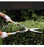 BGSFF Cisailles à haie Cisailles de Jardin Sécateur à Main de Jardinage Moins d'effort Sharp Facile à Utiliser Convient pour Les Jardins la pelouse Les Plantes Vertes Les Plantes