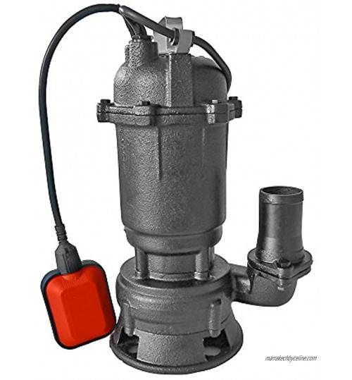 Flo 79880 – submersible de la pompe à eau sale 45