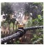 Irrigation de pelouse de sprinkler Brouillard basse pression d'eau Mist Buse de pulvérisation brumisation gicleurs tête froide Jardin Eau Monsieur 5 10pcs Brass Fog Mist Buse Color : Burgundy