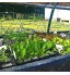Bac à semis 21 puits pour serre cour conteneur de plantation boîte de germination de plantes bac de semis plateau de semis pour planter légumes fleurs noir-A