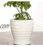 BUNCC Pot De Fleur en Céramique Extra Large Cactus Planteur Pot Personnalité Créative Simple Ménage Vert Radis Pot De Plante Décor À La Maison De Bureau Bonsaï Pots