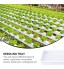 DOITOOL Bac de germination hydroponique pour semis de blé plantation cultivateur égouttoir pour jardin maison bureau blanc