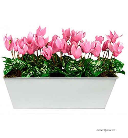 GreenBrokers Limited Coffret Artificielle Rose Cyclamen Jardinière Blanc Tin bac à Nourriture Pot de Fleurs 45 cm