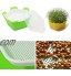 iBoosila Bac à fleurs pour échelles en plastique et bac à germes vert