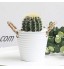 Jardin Décorations Bacs à Plantes pour Mur Bac à légumes Usine Accessoires Contenants pour Plantes Grand Décorations pour la Maison Flottant Pot