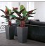 Lechuza – Pot de Fleurs d'Interieur – Premium Cubico – Réserve d'Eau Intégrée – Coloris Noir – 40 x 40 x 75 cm