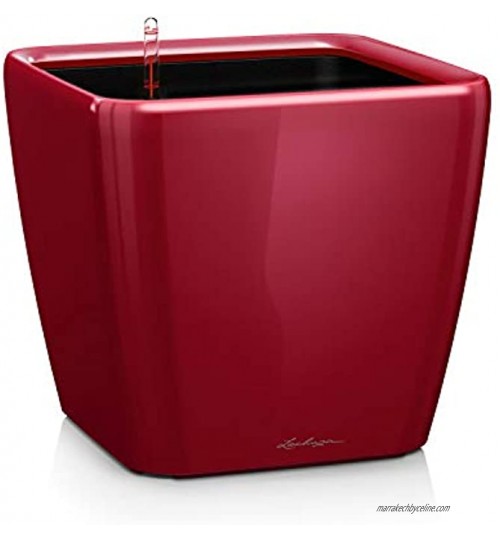 Lechuza – Pot de Fleurs d'Interieur – Premium Quadro Ls – Réserve d'Eau Intégrée – Coloris Rouge Scarlet – 43 x 43 x 40 cm