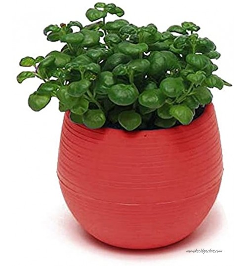 YUHUA Pot de Plante Succulente Créatif écologique Coloré Mini Rond en Plastique Plante Pot de Fleur Jardin Bureau à Domicile Décor Jardinière,Red