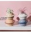 YUHUA Pot de Plante Succulente Creative Planet Pot en Céramique pour Succulentes Mini Planète Forme en Céramique Succulentes Bonsaï Pot de Fleur Bureau Balcon Jardin Décor à La Maison,White