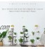 YUTAO Support d'étagère à Plantes en métal à 5 ​​Couches Supports d'étagère pour Pot de Fleurs Multiples présentoirs d'étagère pour Pot de Fleur