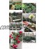 ZHEYANG Potager Surélevé Carre Potager Kit de boîte de jardinière extérieure intérieure Contenant des Lits de Jardin surélevés en Plastique pour la Culture de Fleurs légumes Plantes Herbes Ca