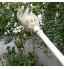 Amasie Gripper à Fruits Légers Gripper Réglable Récolte Récoltant Fruit Capteur Capteur Apple Cueillette Apple Picking Fournitures Tools De JardinColor:Blanche