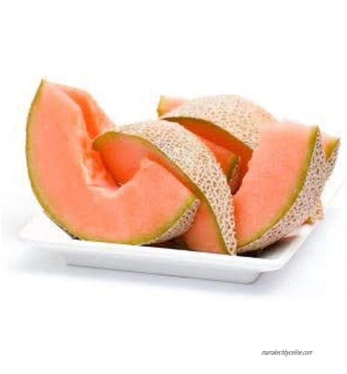 Generic Fresh 100 pcs HAMI melon fruit graines facile à cultiver rose pâle
