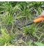 Meccion Cultivateur à 3 dents avec poignée ergonomique confortable et résistant à la rouille outil de jardinage professionnel pour désherber creuser et tourner le sol