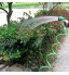 YYLH Tuyau D'Eau Propre de Lavage de Voiture de Jardin en Spirale Enroulé Flexible avec Buse de PulvéRisation pour L'Eau de Jardin de Lavage de Voiture Domestique