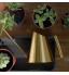 Fengaim Arrosoir pour Plantes d'intérieur Pot d'arrosoir en Acier Inoxydable avec poignée Confortable et Bec Long pour Plantes d'intérieur Fleurs et Plantes succulentes d'or