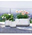 Lechuza – Arrosoir – Yula – Réserve d'Eau 1.7L – Coloris Blanc Rose Poudré – 14 × 14 × 21 cm