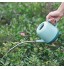 Meiyum Arrosoir portable avec un long bec fin et un grand trou d'arrivée d'eau mini arrosoir de 1000 ml avec poignée ergonomique pour jardin maison plantes fleurs Bleu