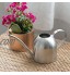 Milopon Arrosoir en métal de 1000 ml Argenté Arrosoir de jardin avec long col Arrosoir de jardin pour l'intérieur et l'extérieur Pour fleurs plantes d'intérieur